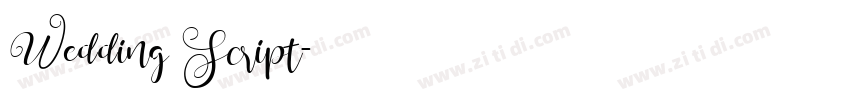 Wedding Script字体转换